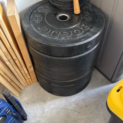 Free Weights (Bumper And Steel)