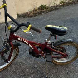 Schwinn Bike