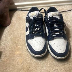 Nike Dunks 
