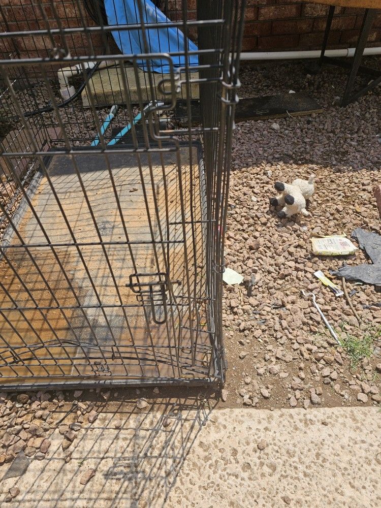 Xl Dog Kennel