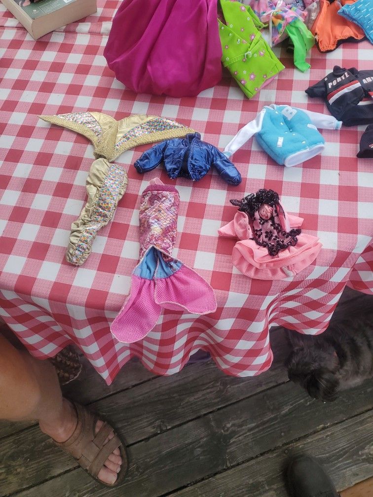 Barbie Doll Clothes And Accessories