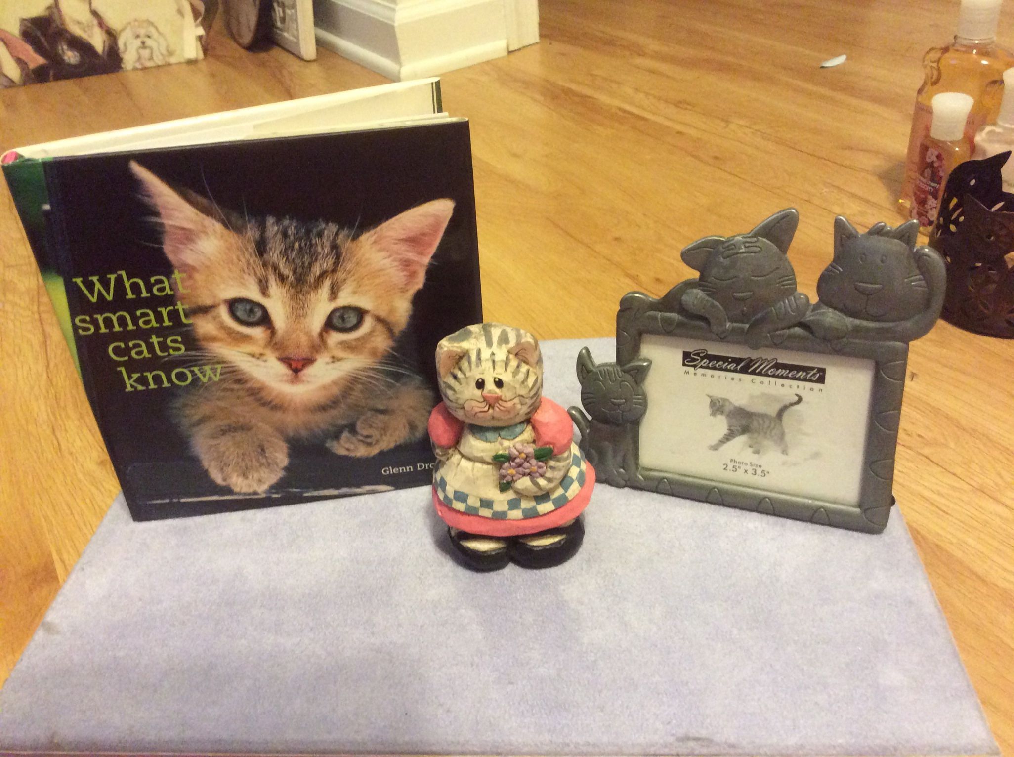 Lot Of Cat Items Great For Gift Giving To A Cat Lover  Pewter Frame , Cat Wood Hand Painted, Cat Book  All Items Are New