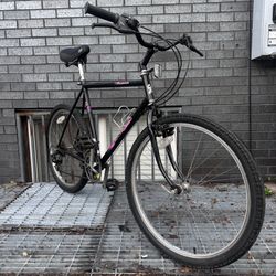 Speciliazed Windbreaker Hybrid Road Bike 