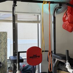 Pull Up/dip And Abs Tower 