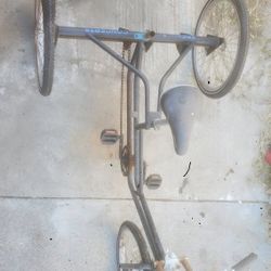 Trike