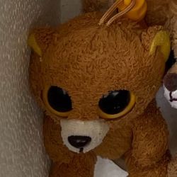 Honey The Bear Beanie Boo