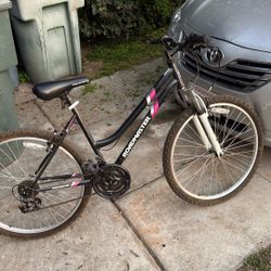 Roadmaster Bike Works Great 