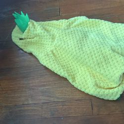 pet costume  pineapple 🍍 