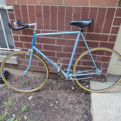 Large Size Raleigh Technium Lightweight Singlespeed Roadbike W/ freewheel 