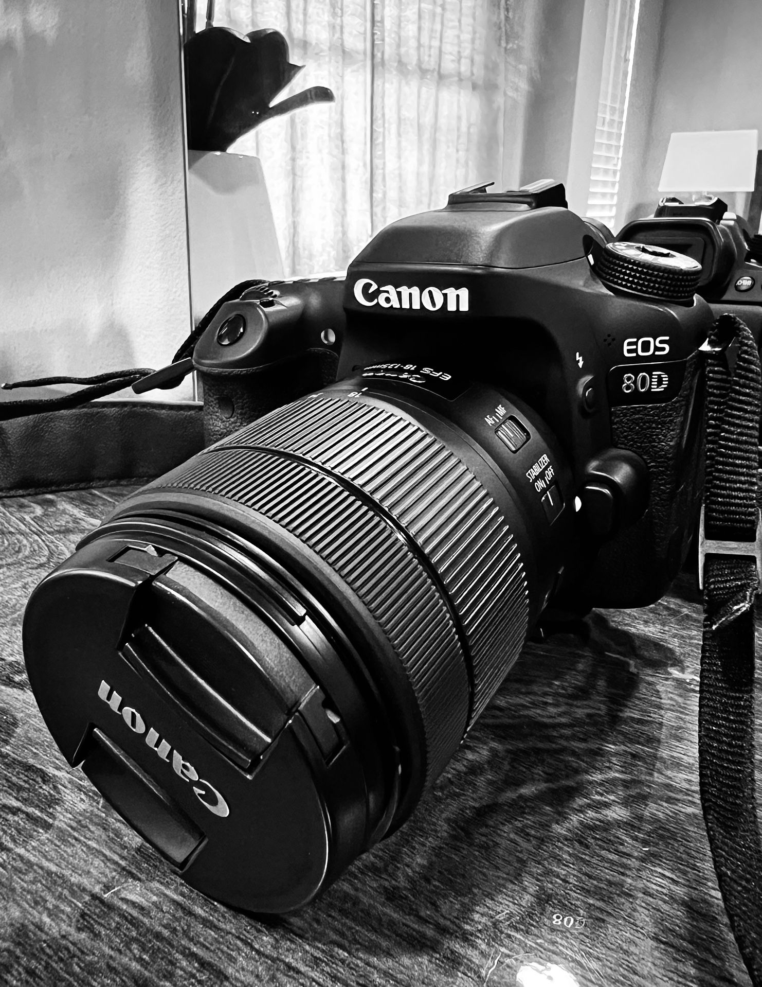 Canon 80D with 18-135 IS USM Lens