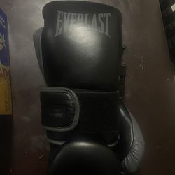  Everlast Boxing Gloves 