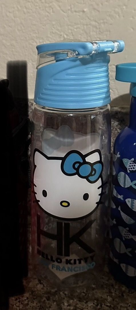Hello Kitty Water Bottle
