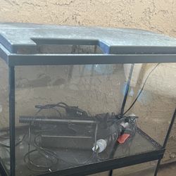 Fish Tank 10 Gallon 