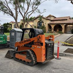 Bobcat 5ft