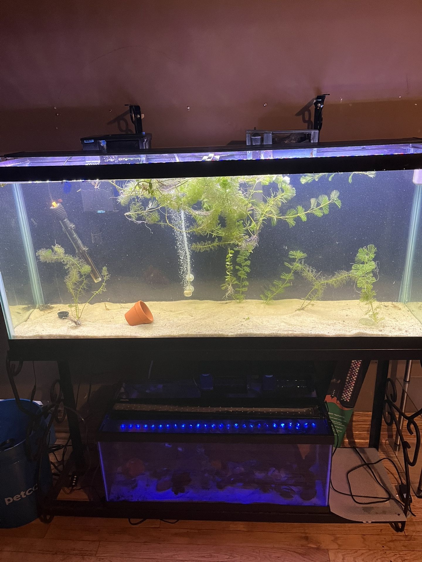 55 Gallon Tank And Stand