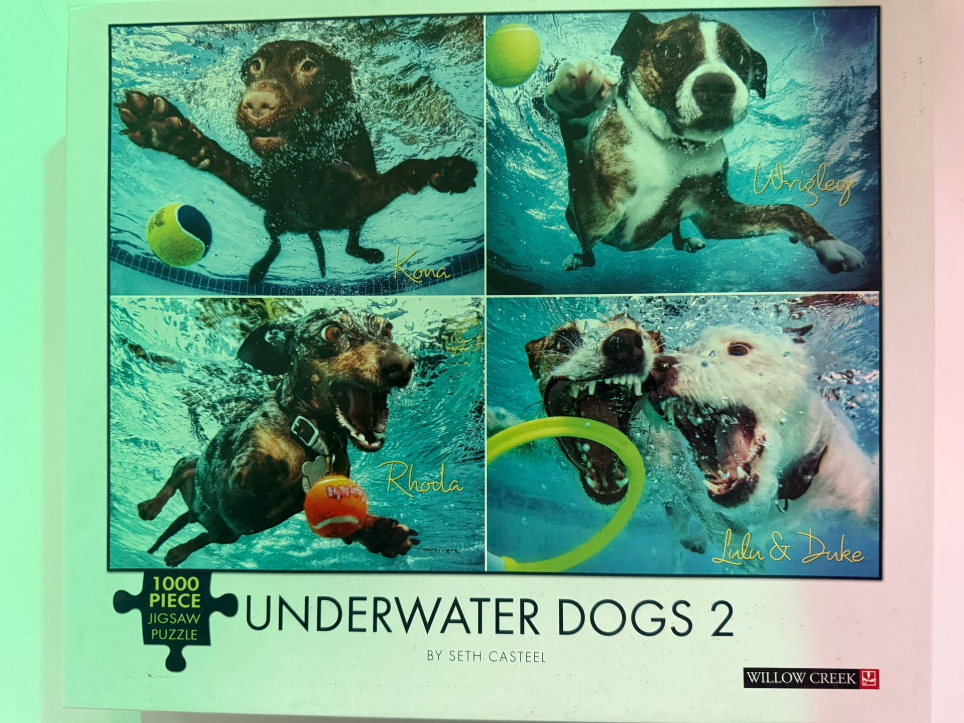 Puzzle Underwater Dogs 1000 PCs