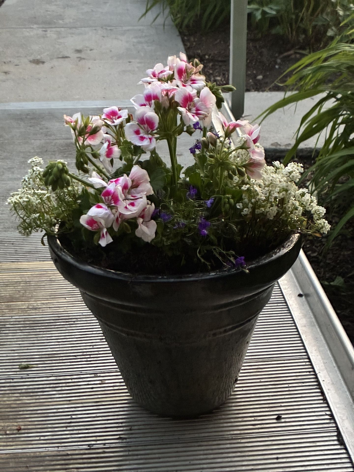 Ceramic Flower Pot
