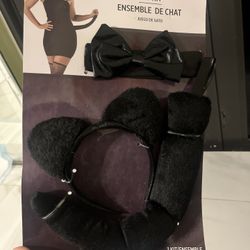 Black cat kit 