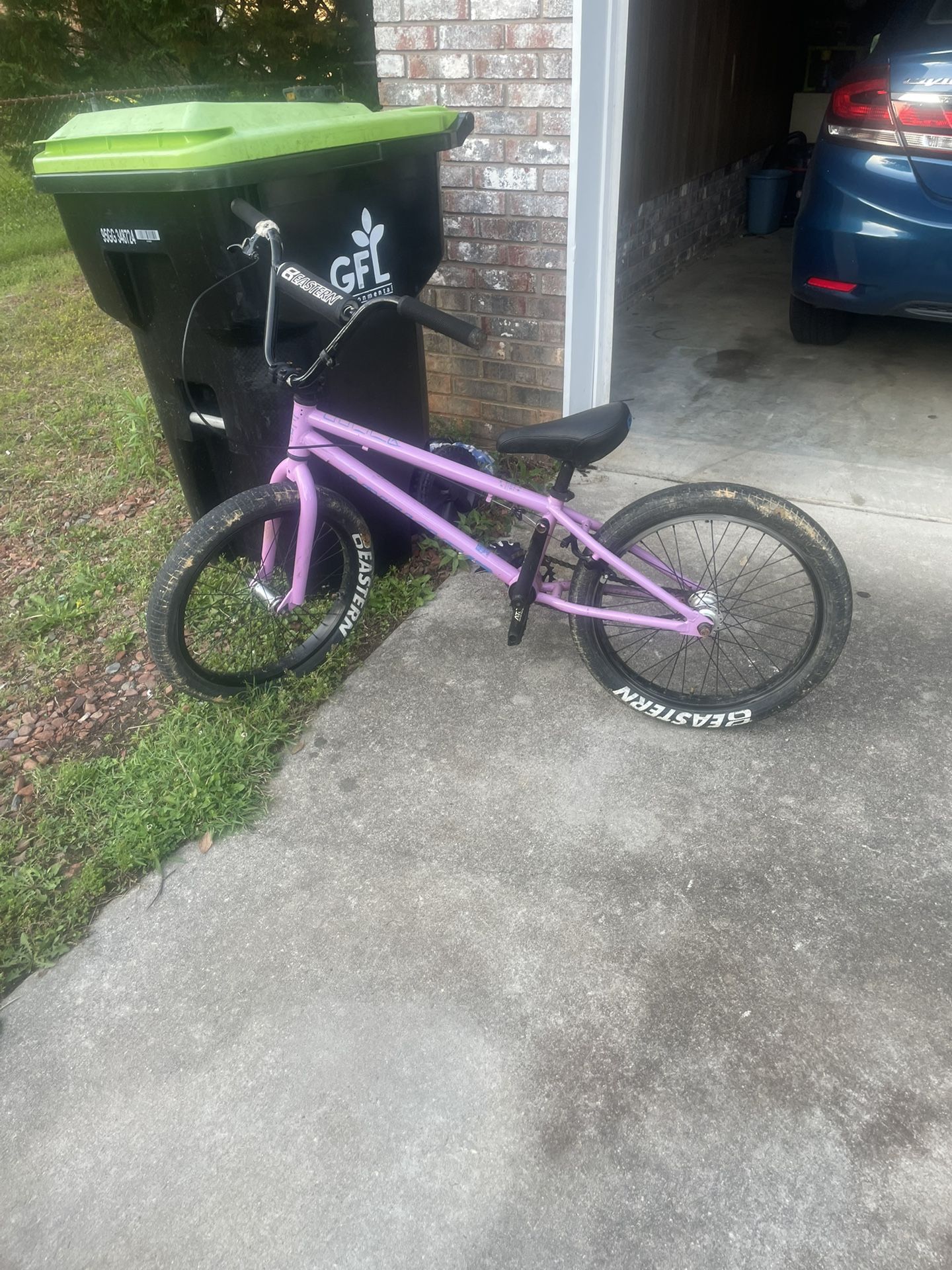 Eastern 20" BMX Cobra Freestyle
