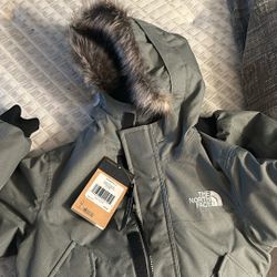 Grayish Colored Northface