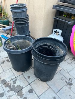 Nursery pots free