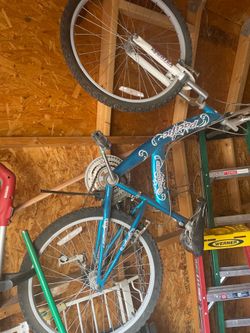 Women’s 20in bikes