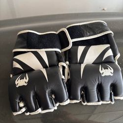 Venum Challenger Boxing Gloves – Workout & Training