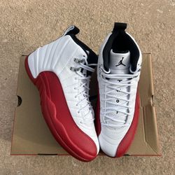 Cherry Jordan 12s Size 10🔥