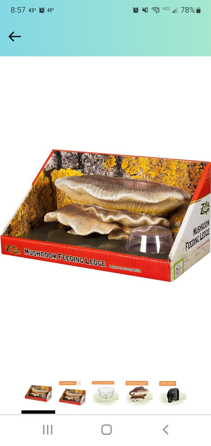 Zilla Mushroom Feeding Ledge  Brand New In Unopened Package. 