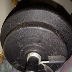 Weight 