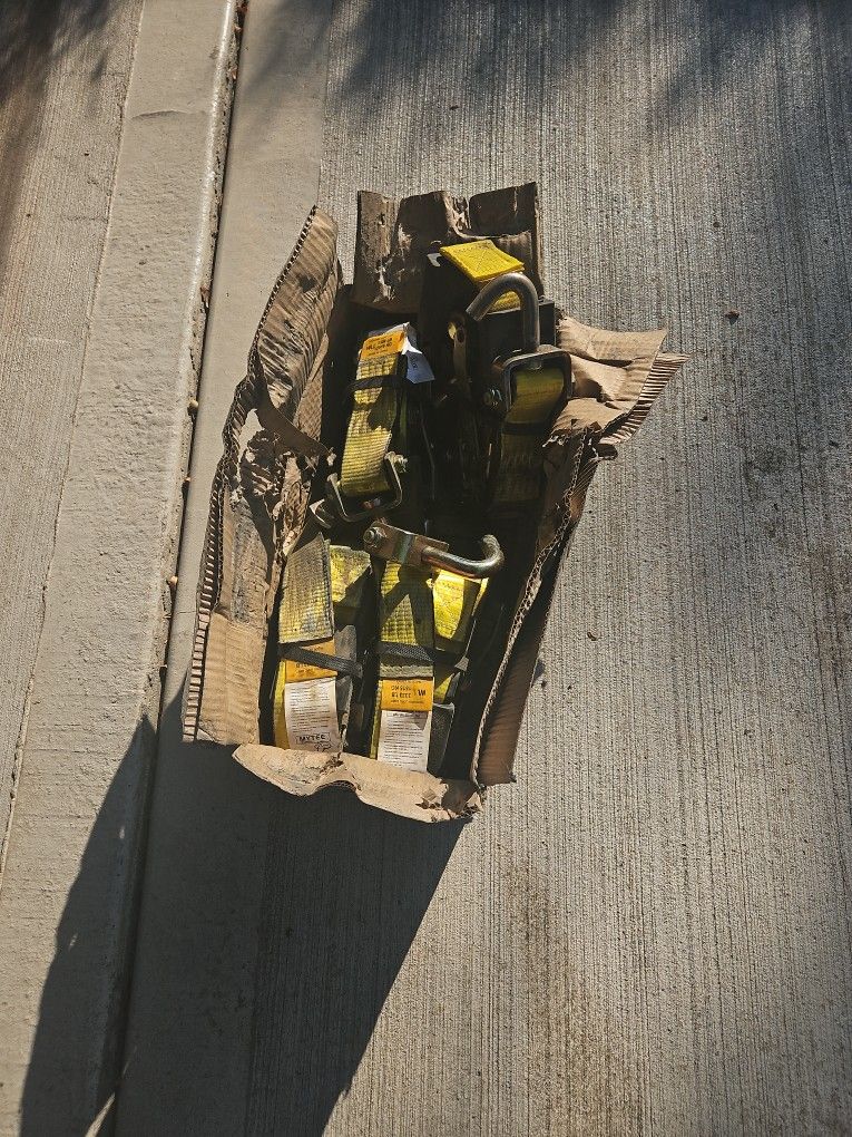 3 Pont Car Hauler Straps