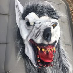 Like new Professional Wolf Mask With Hair Only $20