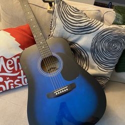 Stadium Acoustic Guitar