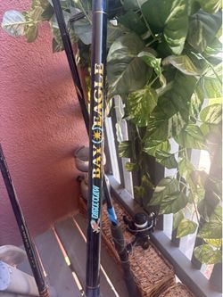 Eagle Claw 8ft spinning rod