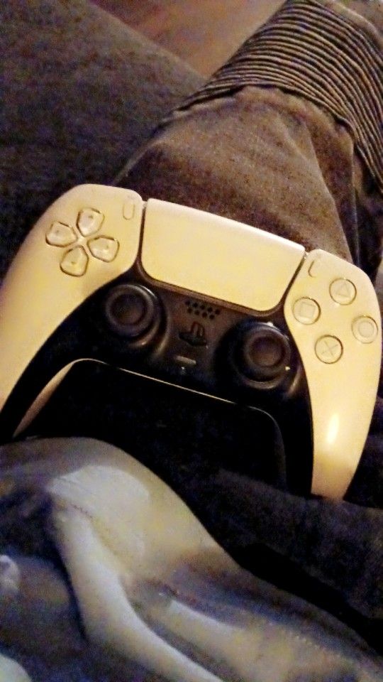 Ps5 Control 40$ Works Perfectly