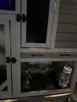 Rabbit cage