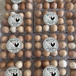 Pasture Raised Farm Fresh Eggs🥚 