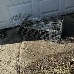Small And Large Animal Traps