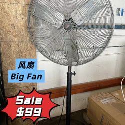 Big Fan