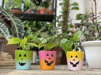 Golden Marble Pothos Halloween Decorations 
