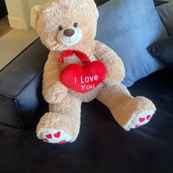 Beautiful Teddy Bear 