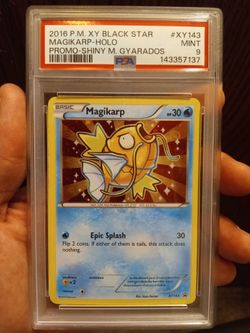 Magikarp 💦💦💦