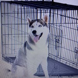 48 Dog Crate For Large XXL Dogs