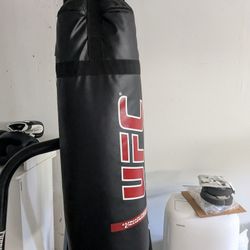 UFC Punching Bag 