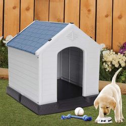 Dog House