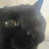 Gustavo