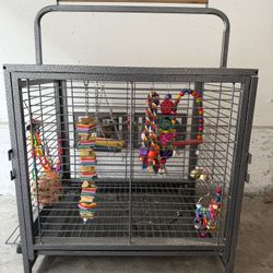 Bird cage 