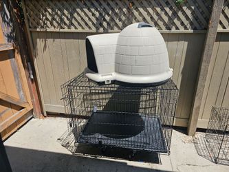 Dog House