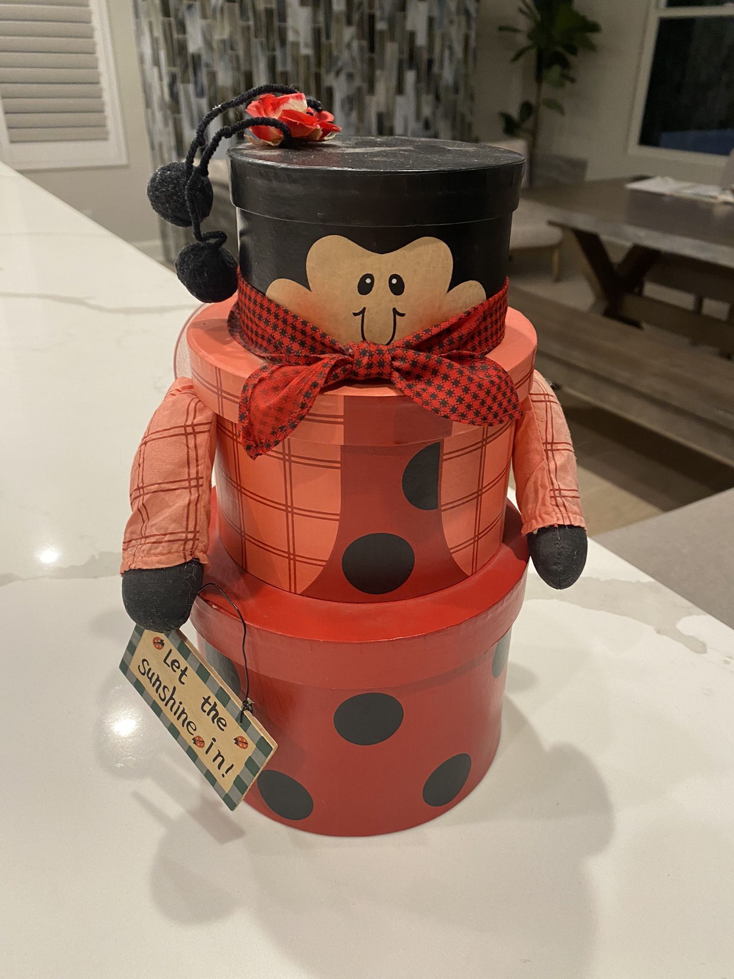 Cute! Ladybug Storage Container