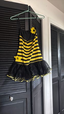 Bumblebee costume